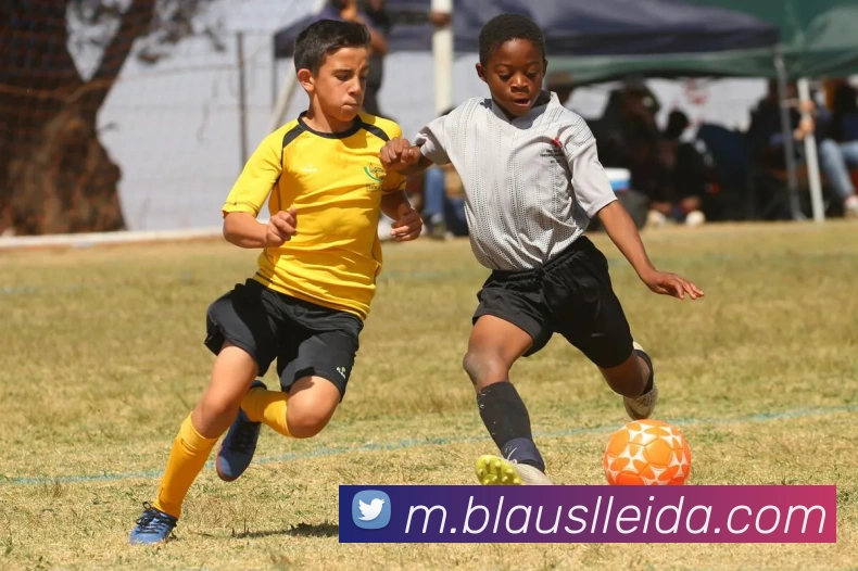 App 展示图